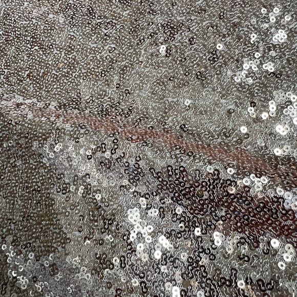 Lulus Sequins Skirt - Picture 5 of 7